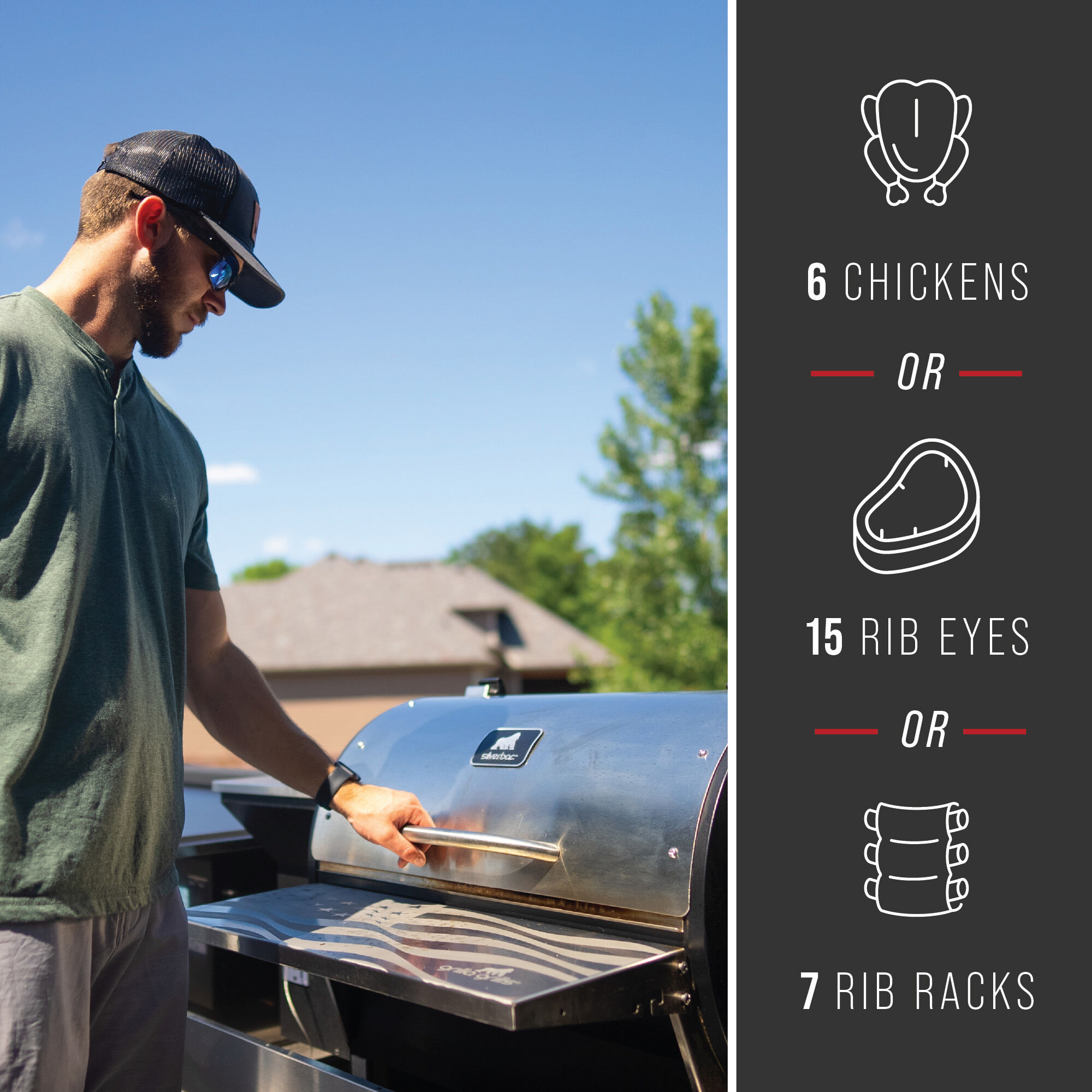 Silverbac Alpha Connect Built-In